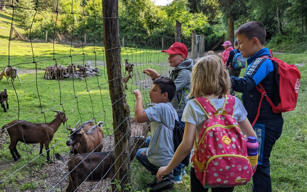 Ausflug in den Wildpark nach Karlsbrunn